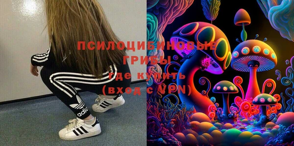 амф Вязники