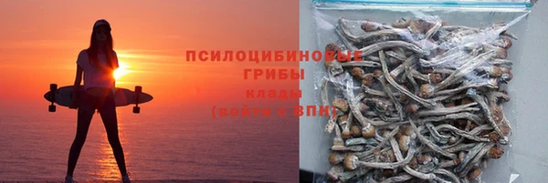 спиды Вяземский
