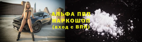стаф Вязьма