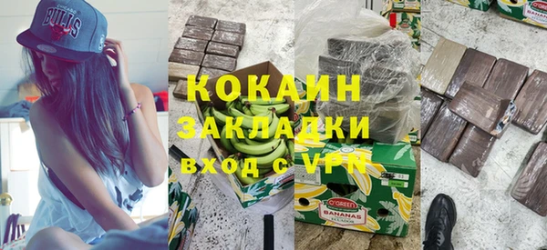стаф Вязьма