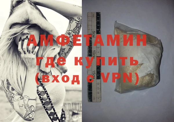 стаф Вязьма