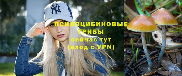 амф Вязники