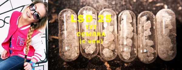 стаф Вязьма