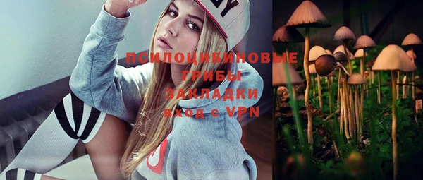 спиды Вяземский