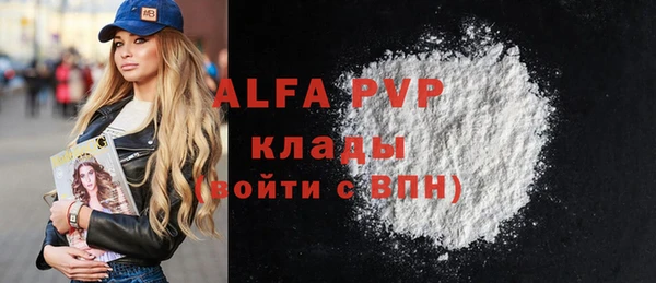 спиды Вяземский