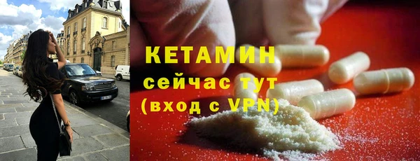 стаф Вязьма