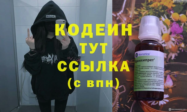 стаф Вязьма