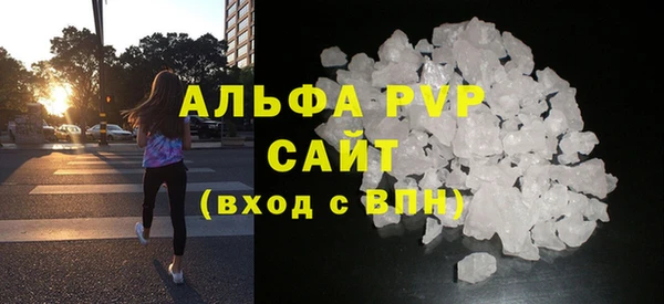 стаф Вязьма