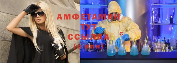 стаф Вязьма