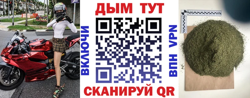 OMG tor  Кочубеевское  Бошки марихуана план 